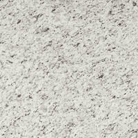 Ornamental White Granite Slab